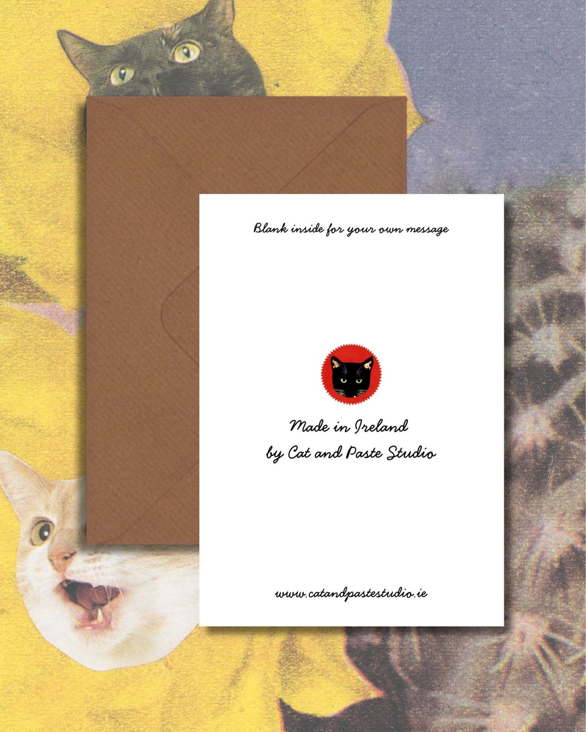 Funky Yellow Flower Cat Greetings Card