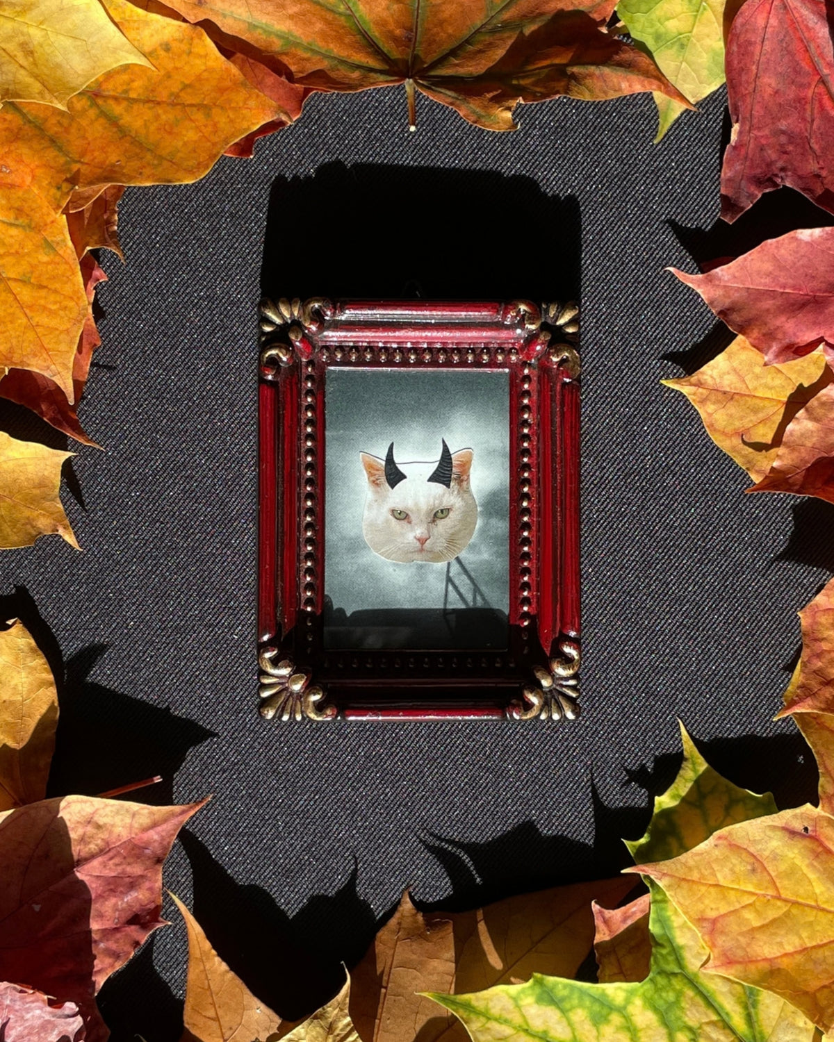 The Evil Kitty, Original Mini Collage Art