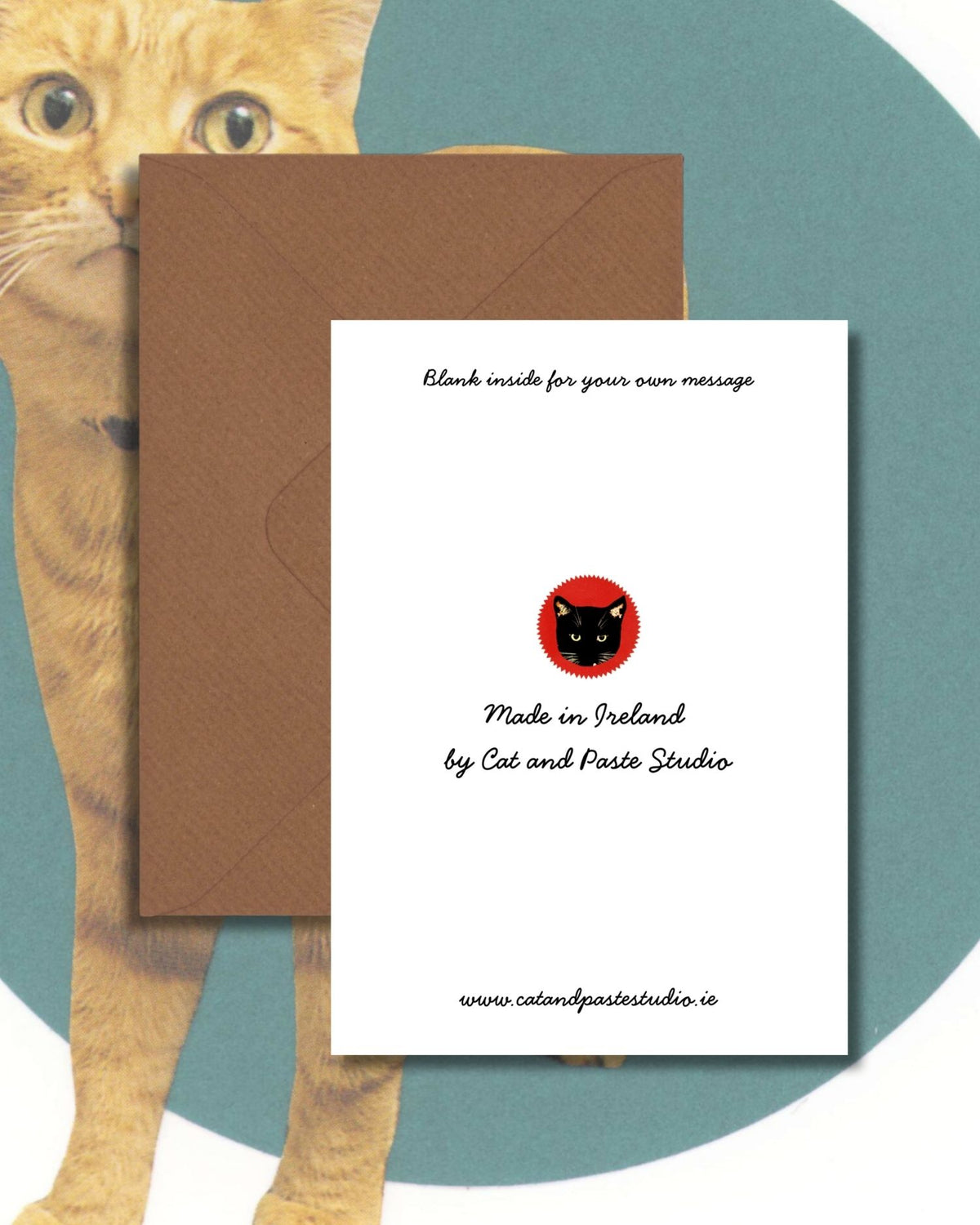 Funny Cat Greetings Card