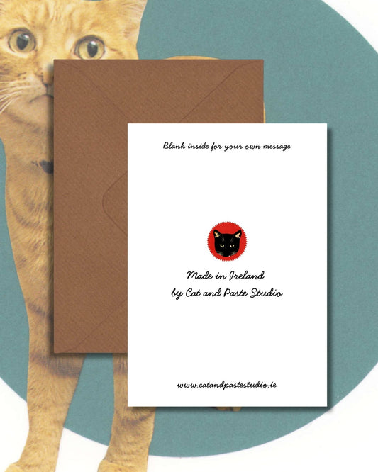 Funny Cat Greetings Card