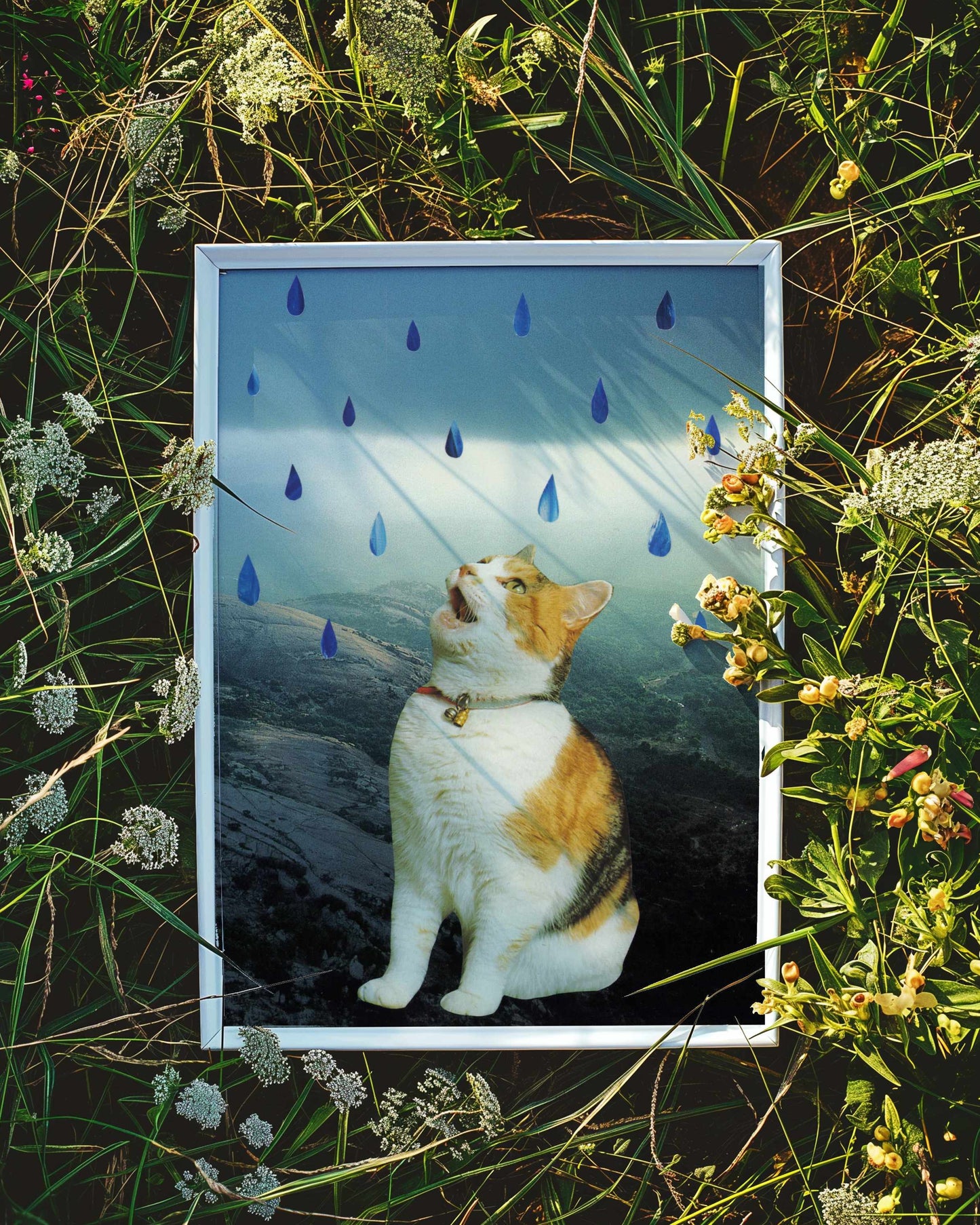 "Rain Kitty" Art Print