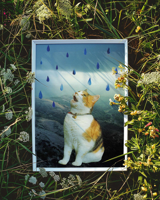 "Rain Kitty" Art Print