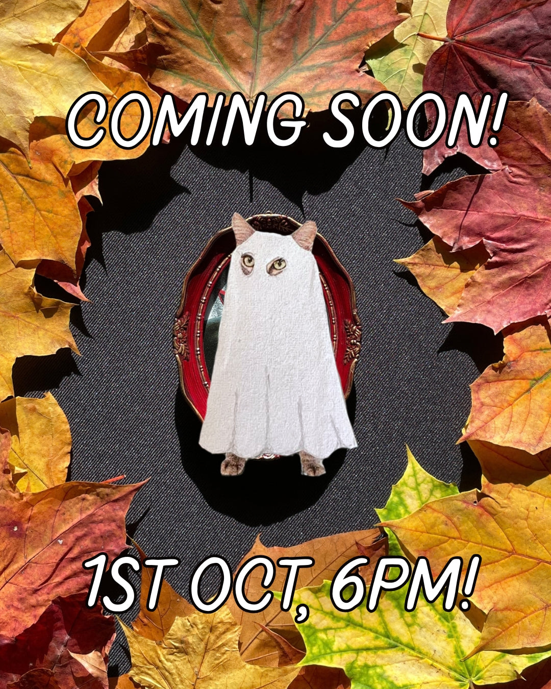 Halloween Collection Coming Oct 1st!