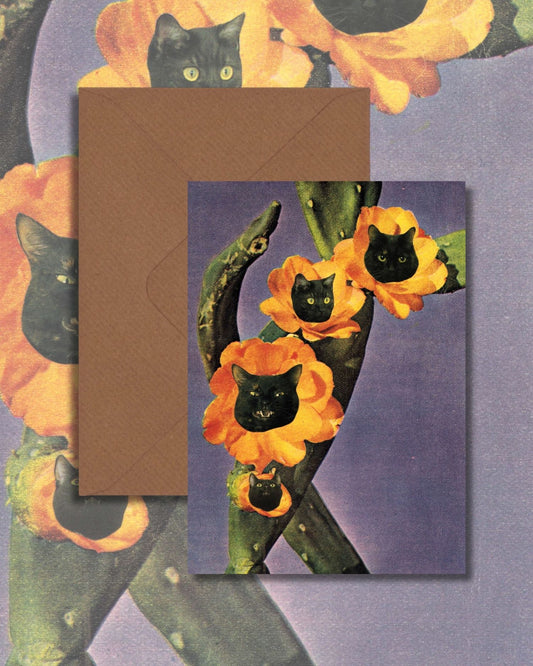 Funky Orange Flower Cat Greetings Card