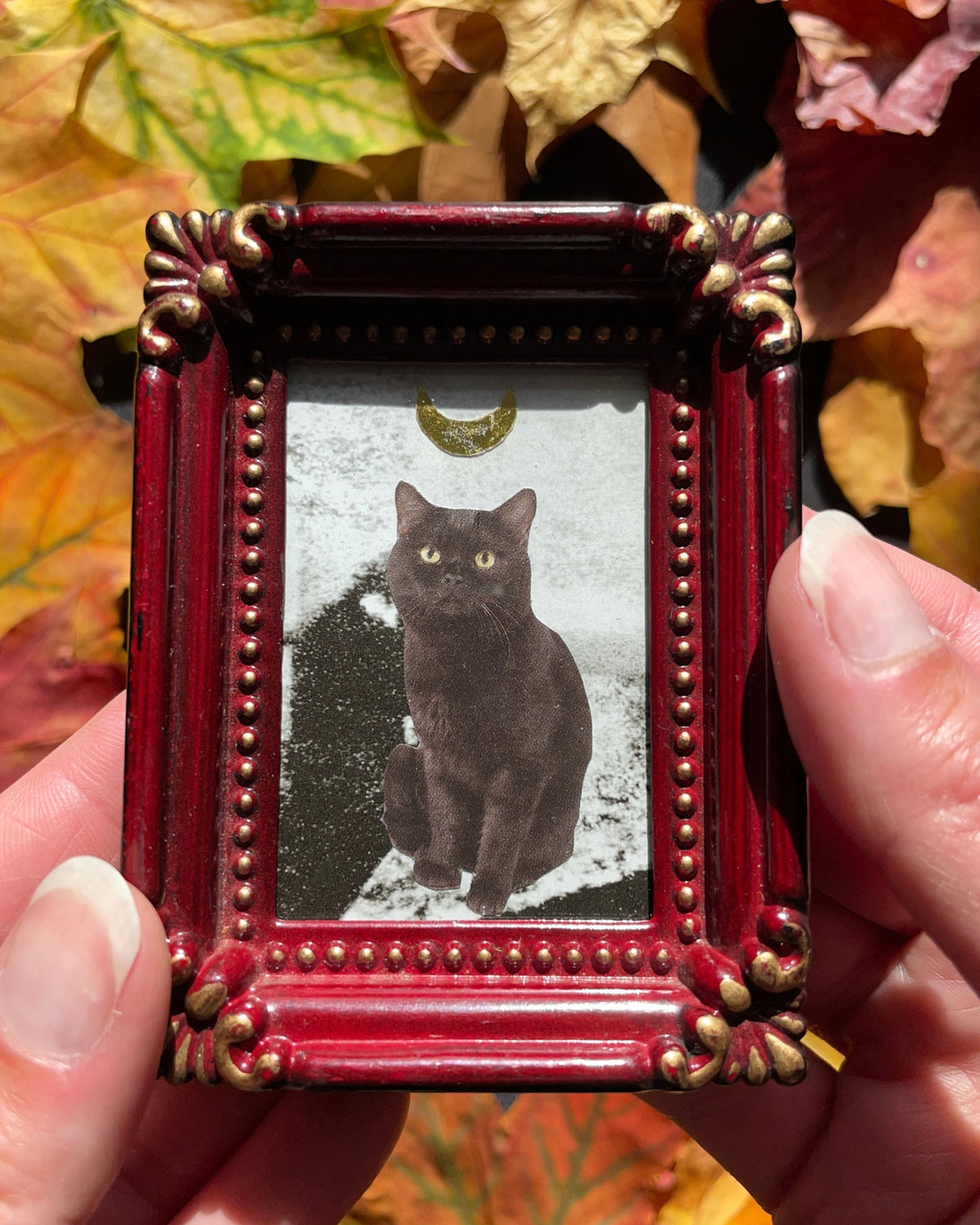 The Wizard Kitty, Original Mini Collage Art