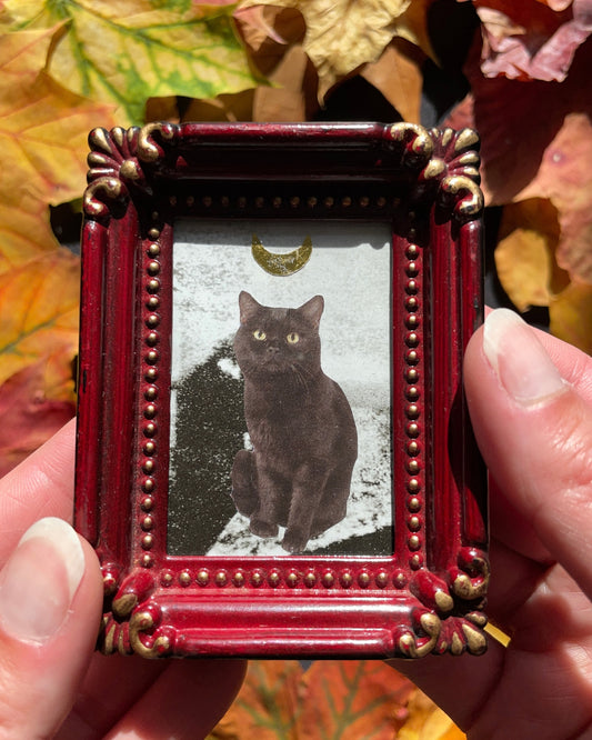 The Wizard Kitty, Original Mini Collage Art