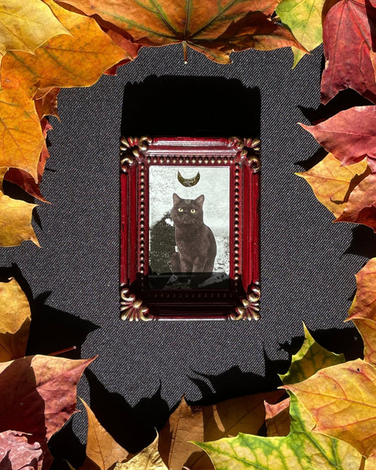 The Wizard Kitty, Original Mini Collage Art