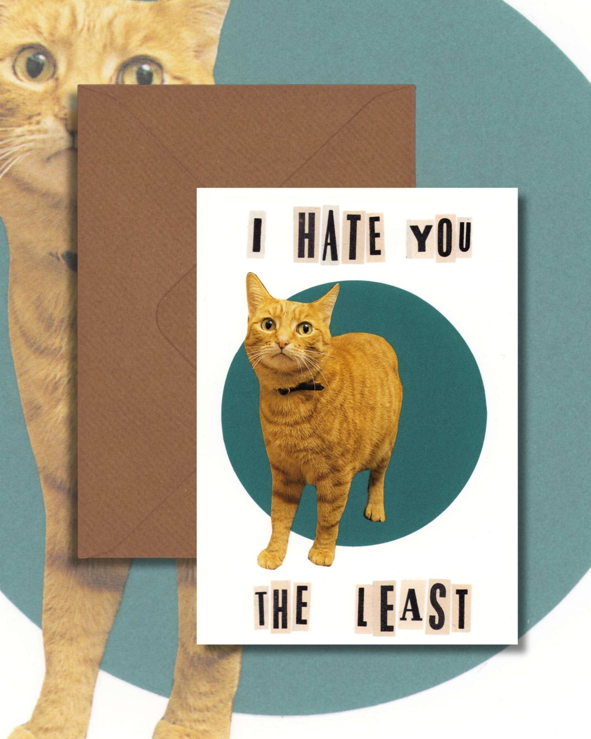 Funny Cat Greetings Card