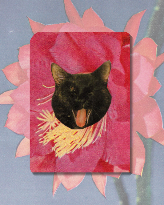 Flower Kitty Sticker no 3