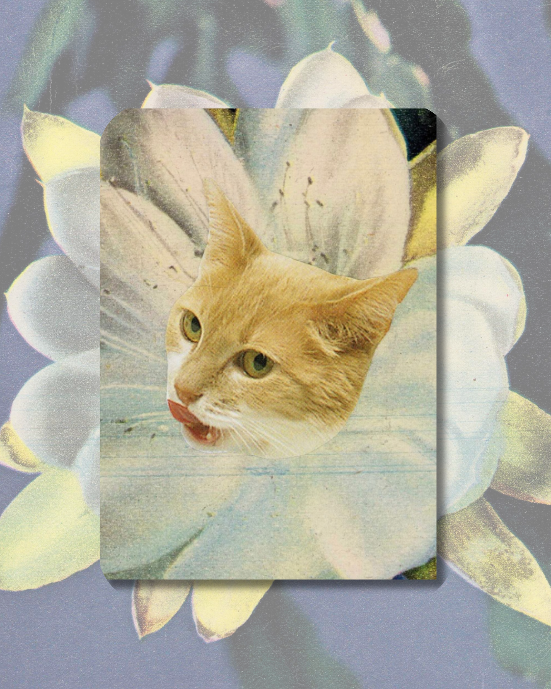 Flower Kitty Sticker no 4