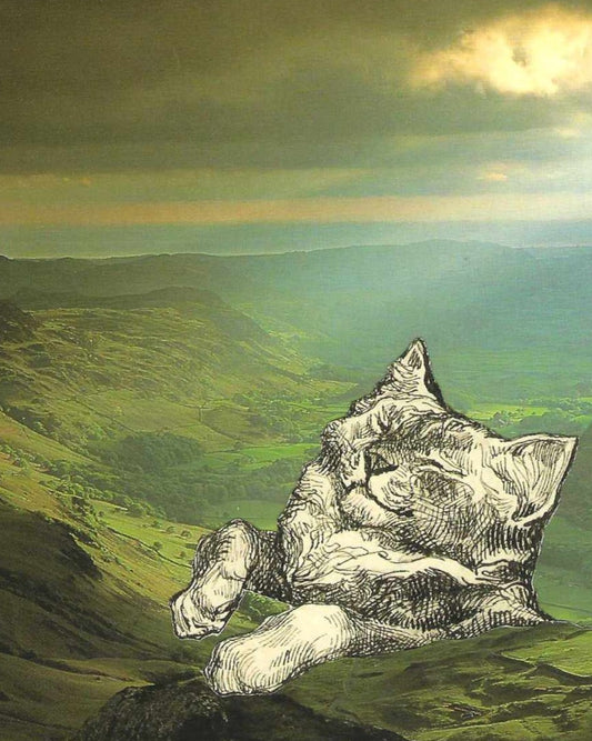 "Sun Cat" Art Print