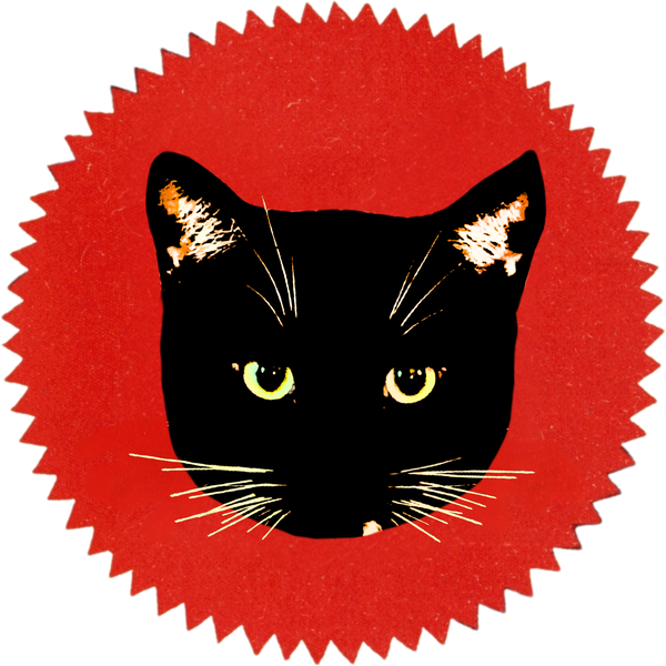 Cat And Paste Studio